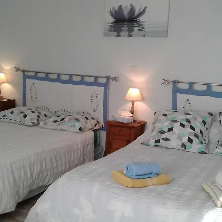 Les Hirondelles Du Paradis 6 Rue Des Oiseaux