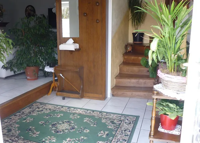 Les Hirondelles Du Paradis 6 Rue Des Oiseaux