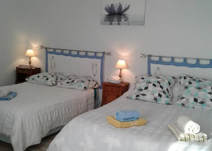 Les Hirondelles Du Paradis 6 Rue Des Oiseaux