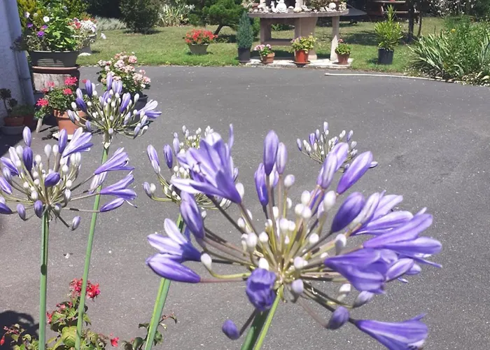 Bed & Breakfast Les Hirondelles Du Paradis 6 Rue Des Oiseaux Beaulieu-sur-Sonnette