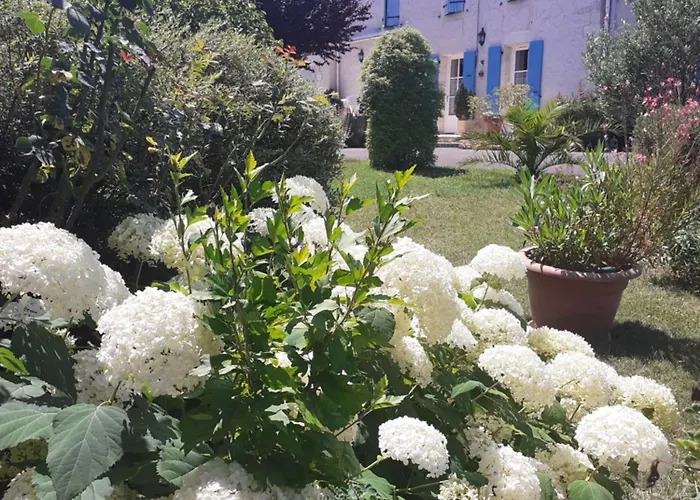 Les Hirondelles Du Paradis 6 Rue Des Oiseaux *